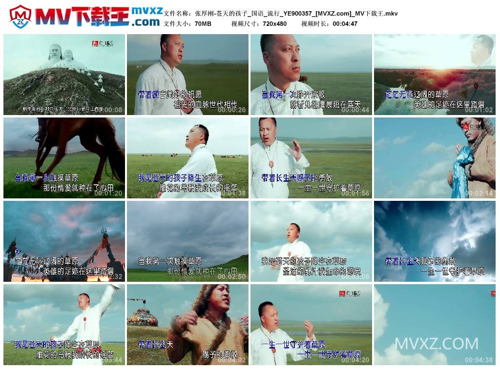 张厚刚-苍天的孩子_国语_流行_YE900357